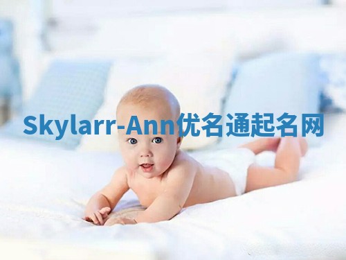 Skylarr-Ann优名通起名网