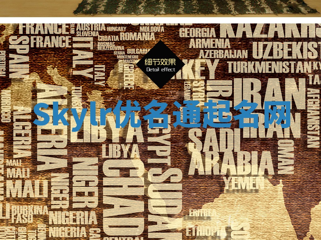 Skylr优名通起名网