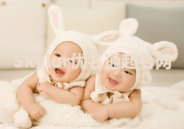 Skylur优名通起名网