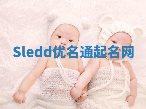 Sledd优名通起名网