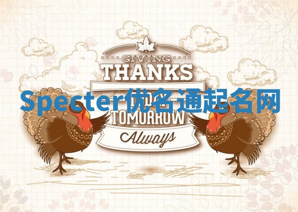 Specter优名通起名网