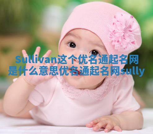 Sullivan这个优名通起名网是什么意思_优名通起名网sully