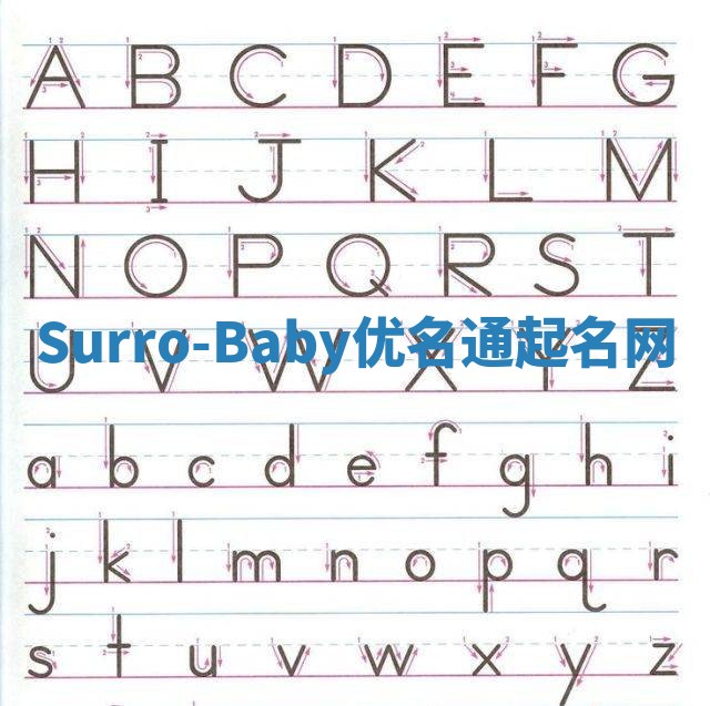 Surro-Baby优名通起名网