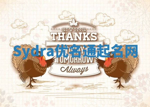 Sydra优名通起名网