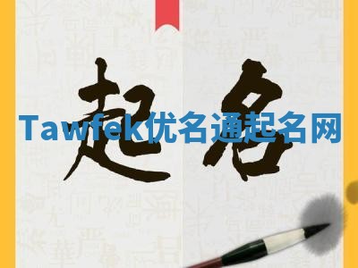 Tawfek优名通起名网