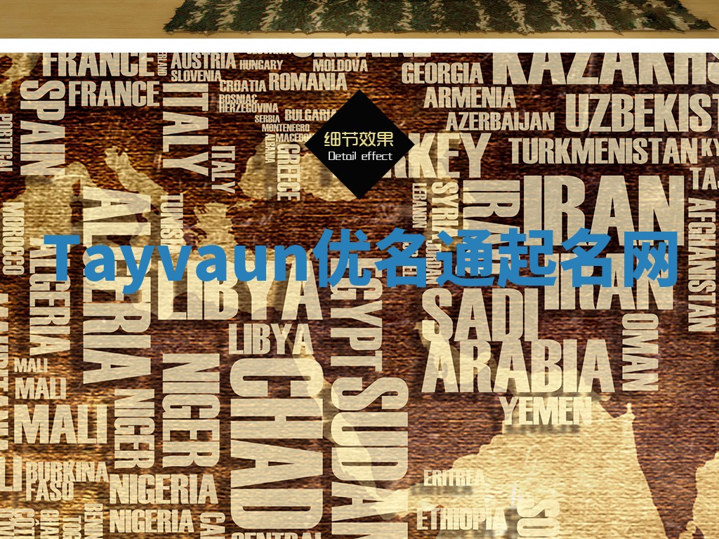 Tayvaun优名通起名网