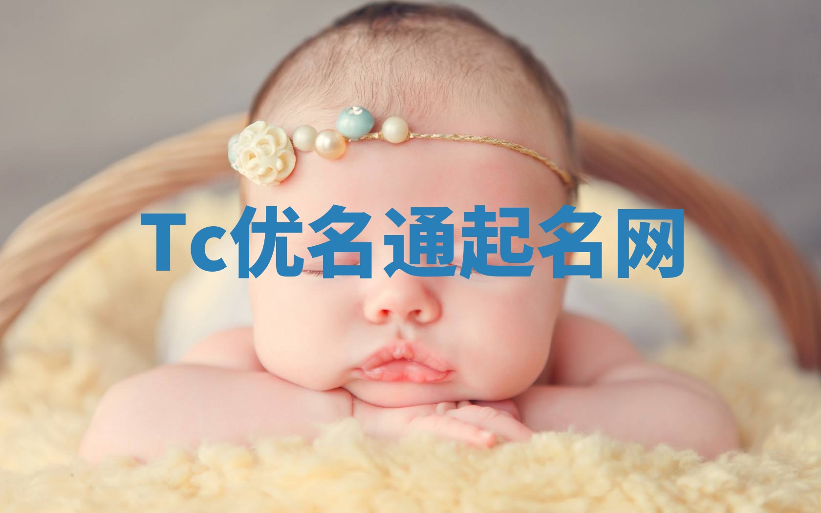 Tc优名通起名网