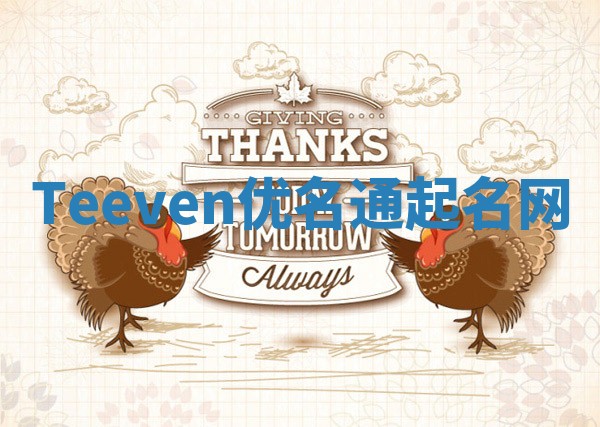 Teeven优名通起名网