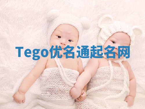 Tego优名通起名网