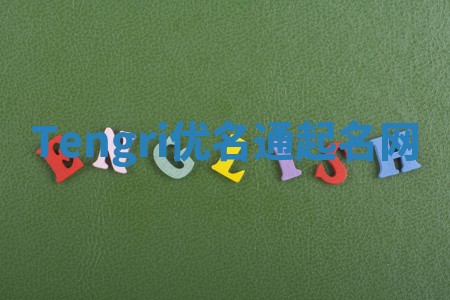 Tengri优名通起名网