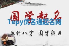 Tepy优名通起名网