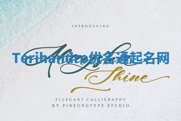 Terihandro优名通起名网