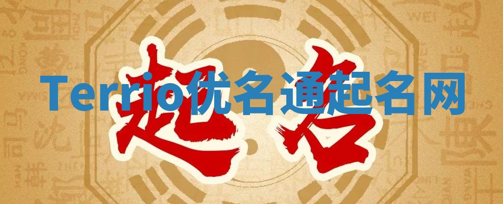 Terrio优名通起名网