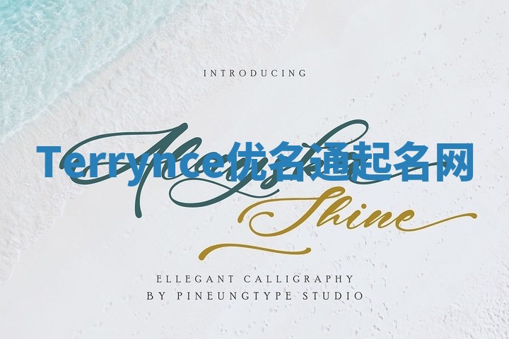 Terrynce优名通起名网