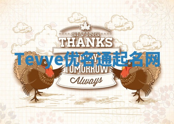 Tevye优名通起名网