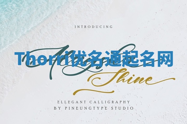 Thorri优名通起名网