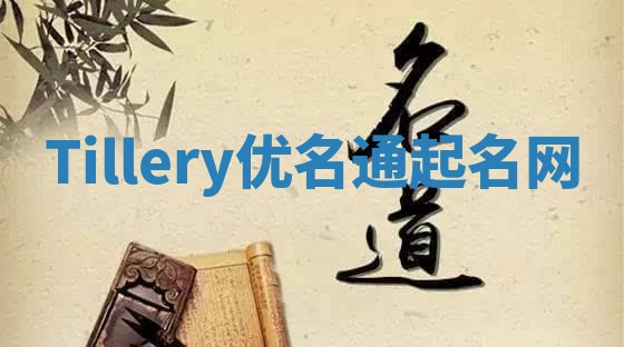 Tillery优名通起名网