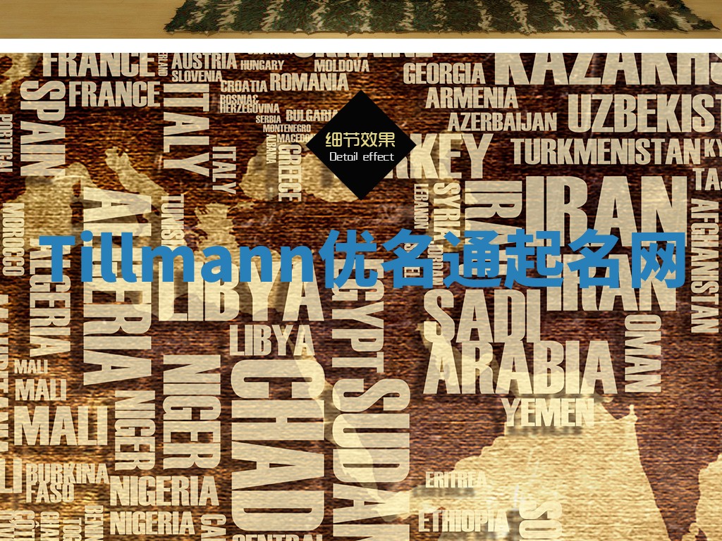 Tillmann优名通起名网