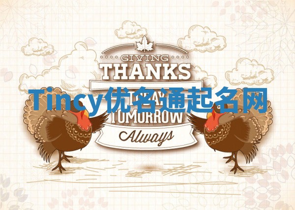 Tincy优名通起名网