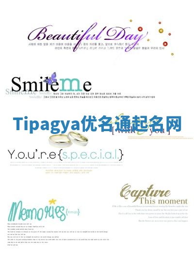 Tipagya优名通起名网