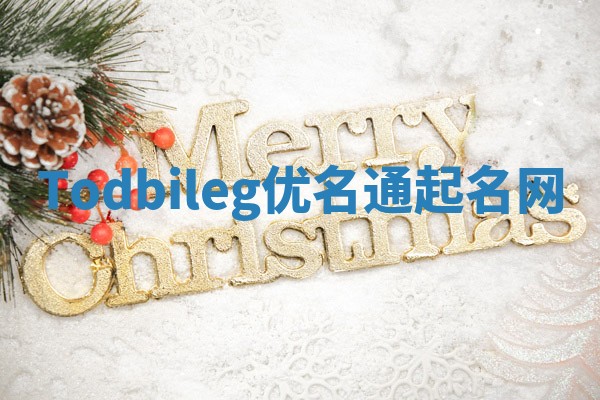 Todbileg优名通起名网