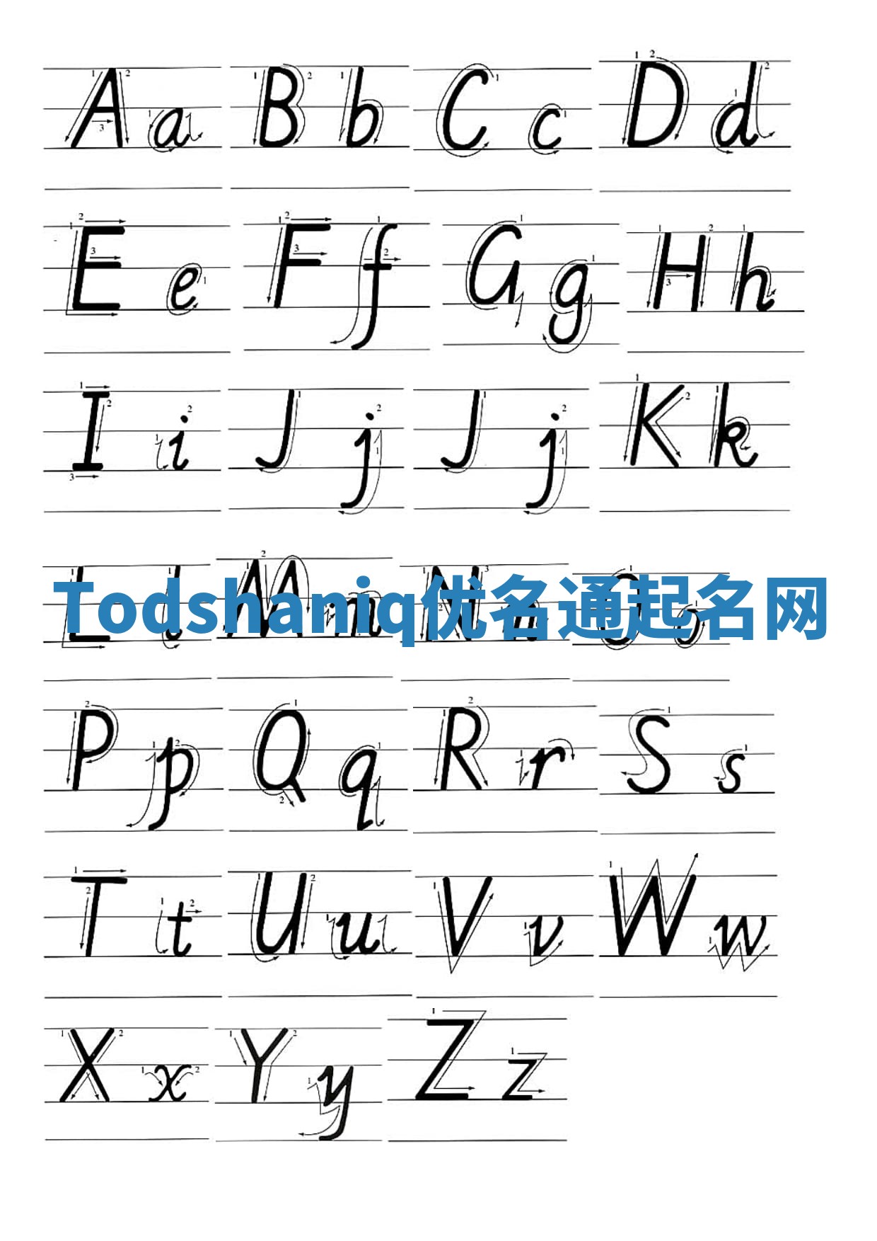 Todshaniq优名通起名网