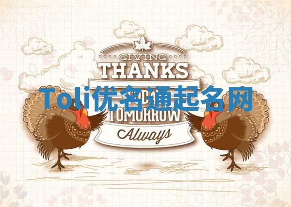 Toli优名通起名网