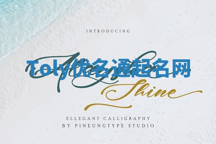 Toly优名通起名网