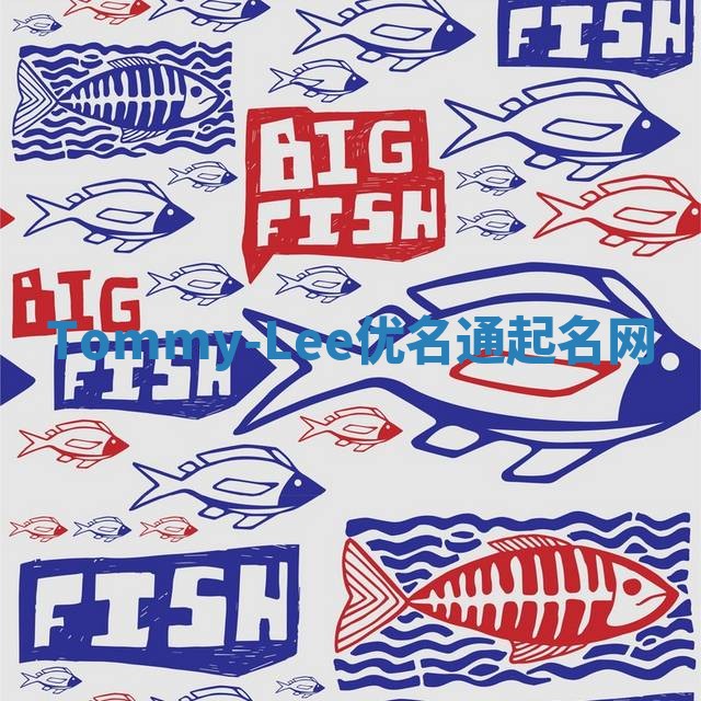 Tommy-Lee优名通起名网