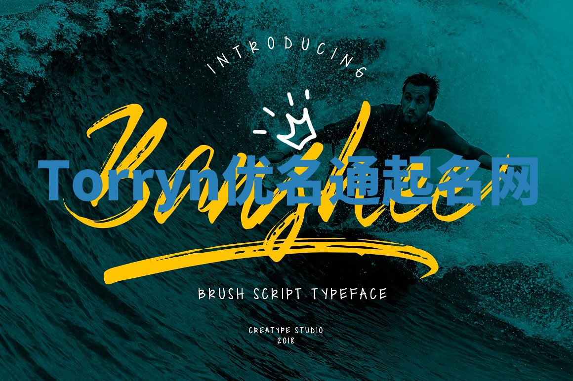 Torryn优名通起名网