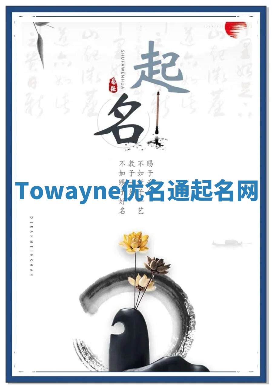 Towayne优名通起名网