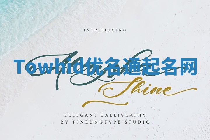 Towhid优名通起名网