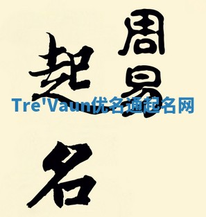Tre'Vaun优名通起名网