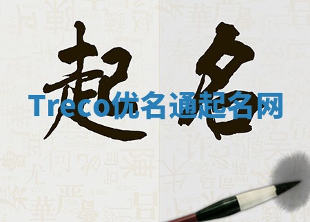 Treco优名通起名网