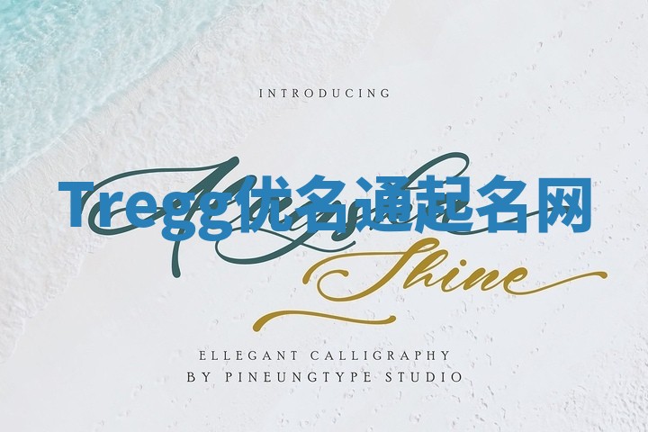 Tregg优名通起名网