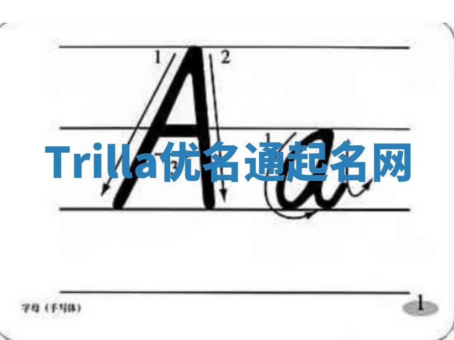 Trilla优名通起名网