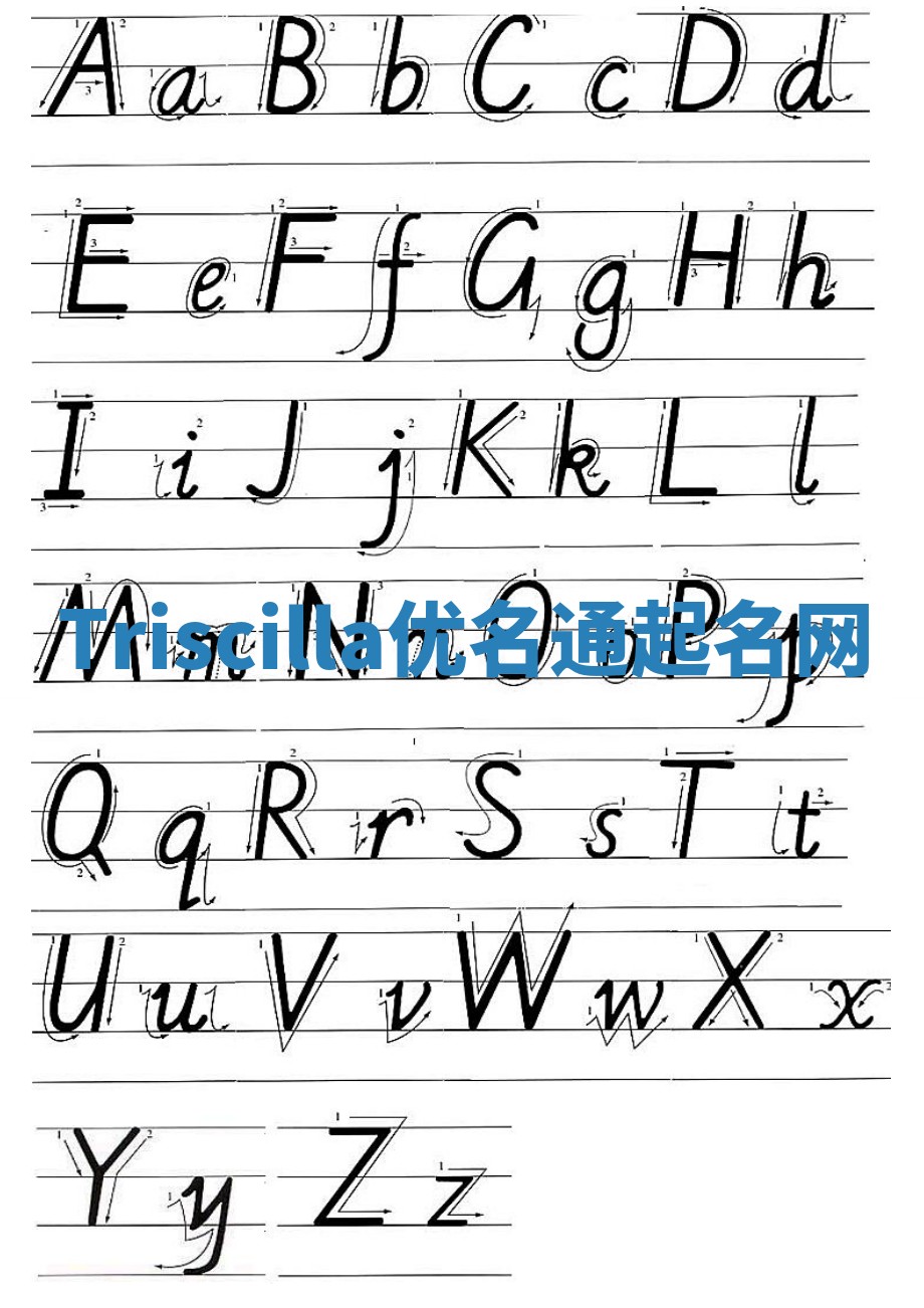 Triscilla优名通起名网