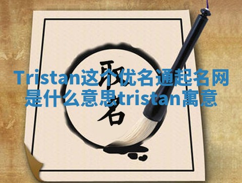 Tristan这个优名通起名网是什么意思 tristan寓意