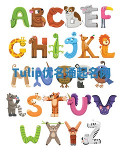 Tulip优名通起名网