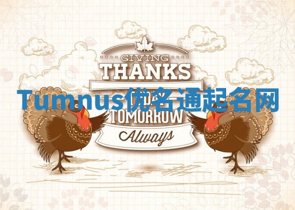 Tumnus优名通起名网