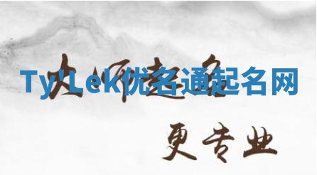 Ty'Lek优名通起名网
