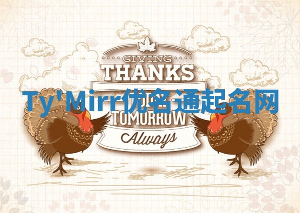 Ty'Mirr优名通起名网