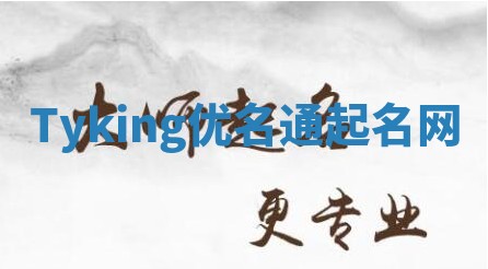 Tyking优名通起名网