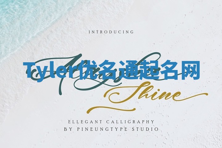 Tyler优名通起名网