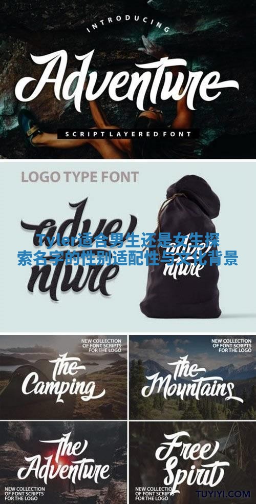 Tyler适合男生还是女生探索名字的性别适配性与文化背景