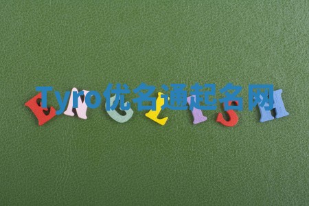 Tyro优名通起名网