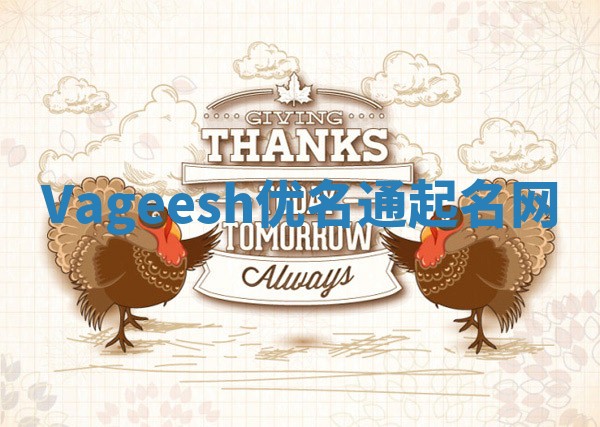 Vageesh优名通起名网