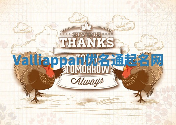 Valliappan优名通起名网