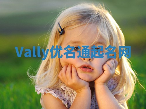 Vally优名通起名网