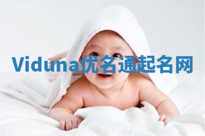 Viduna优名通起名网
